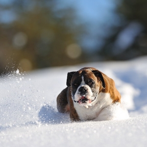 Frozen face