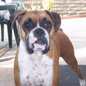 Samantha_3_Years_8_Months_Old