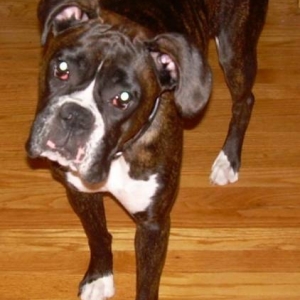 Maggie