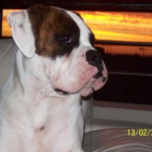 Tonto & the drool