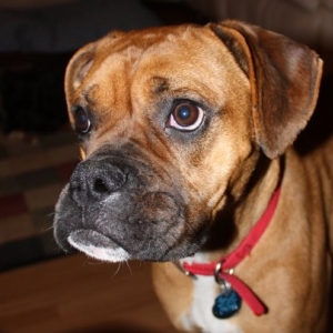 Maggie2