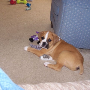 Trouper at 8 1/2 weeks