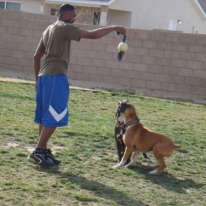 Rocky and Duke