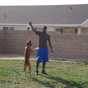 Rocky and Duke