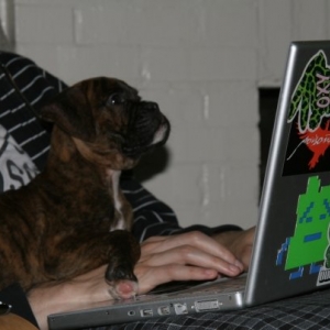 Studious Sophie