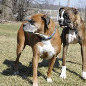Lucy and Fred
