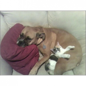 PreciousNAnnie