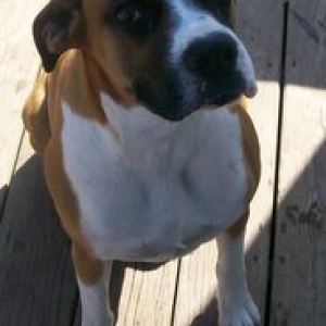 Diego