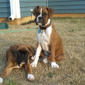 Milly and Ozzy