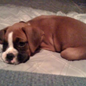 My little baby girl