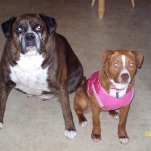 Smoke and his new buddy Izzy