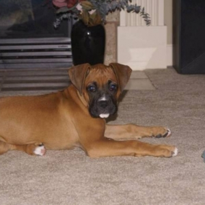 jazmine at 5 months