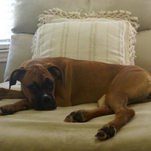 jazmine at 7 months