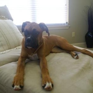 another of jazmine at 7 months