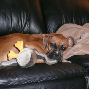 jazmine lounging around with her friend