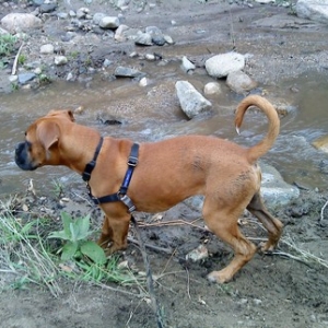Layla Hiking