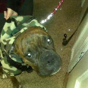 camo_hoodie