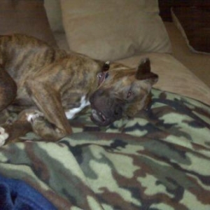 seepy_girl_smaller