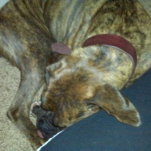 asleep_on_my_leg_2