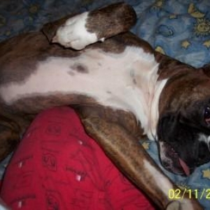 Hanky acting silly...