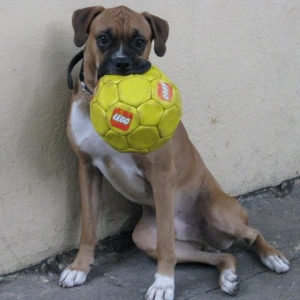 Mikes_Toy