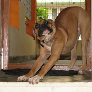 Mike_Stretching