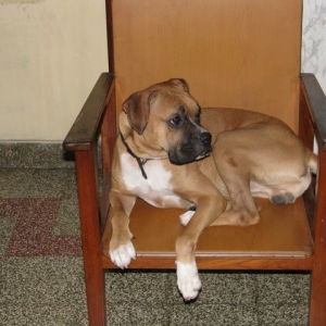 On_the_chair