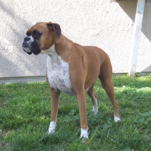 Samantha_3_Years_9_Months_Old