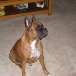 Ms. Tasha
