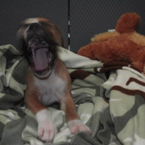 Just woke-up
