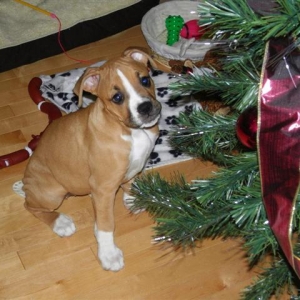 First Christmas