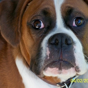 Butchie 040209