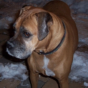 Roxi Feb 2009