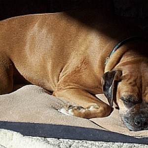 Roxi Jan 2009