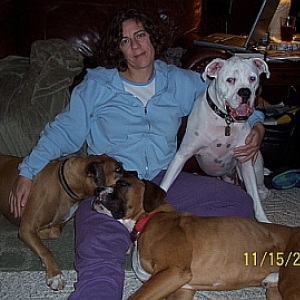 The pack, November 2008