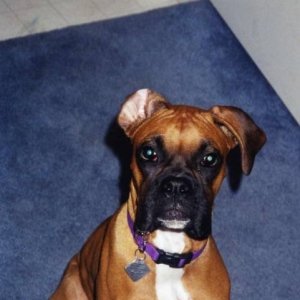 Sasha at 5 months