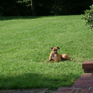Enjoying a warm sunny day