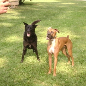 Come on!! Throw it!!!!