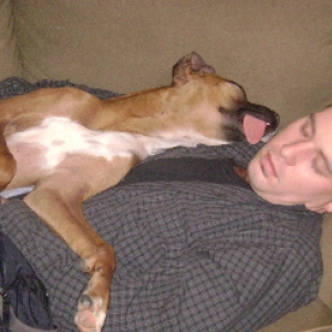 Chief and papa napping2