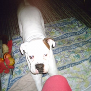 Urly3yrs26wks old 2009.