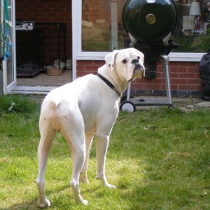 have you seen my bum?