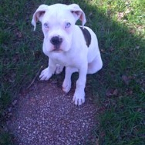 Norman Outside