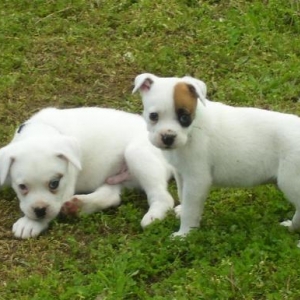 brothers