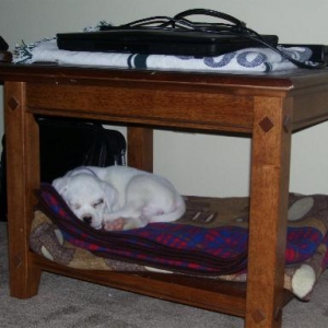 New sleeping spot