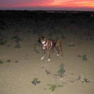 out in the fields