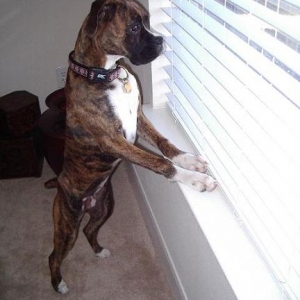 8 months- looking out the window