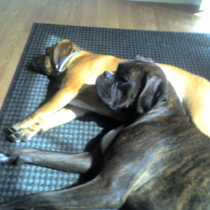 sleeping9