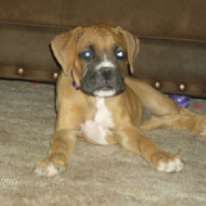 Our Love, Kori