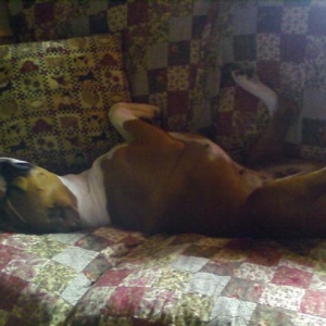 Daizy