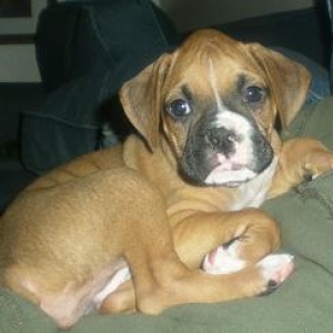 lilbailey2